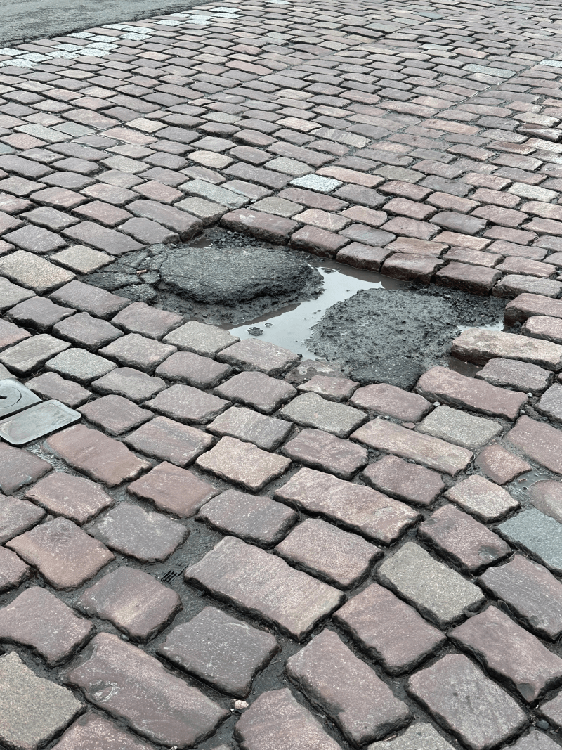 Signalement à Lille