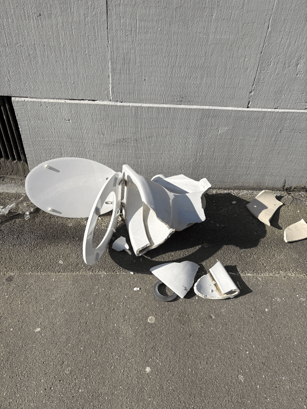 Signalement à Lille