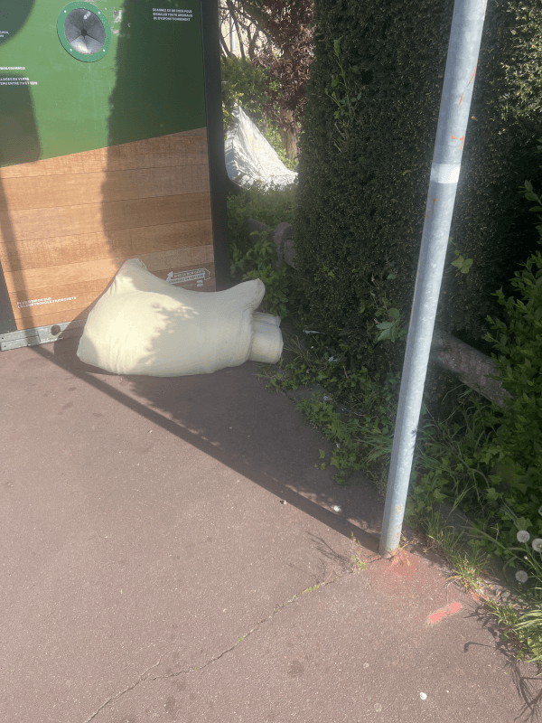Signalement à Lille