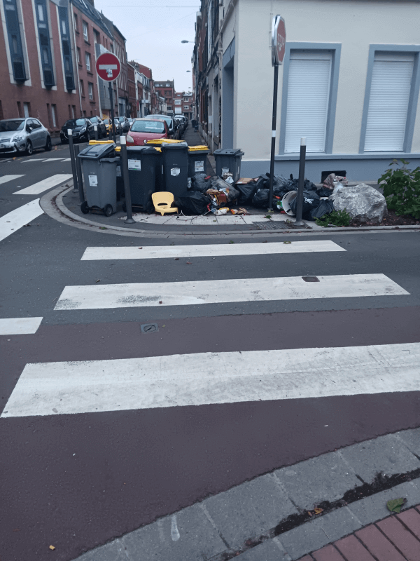 Signalement à Lille