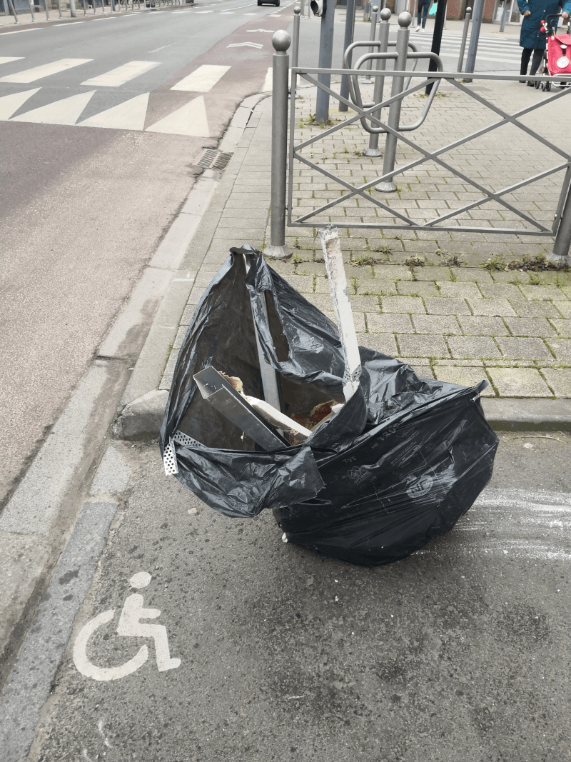 signalement à Lille