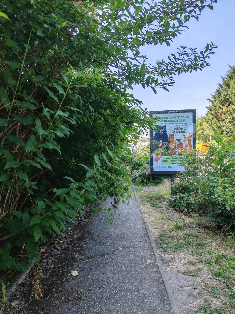 Propreté, Quai Conti, Louveciennes
