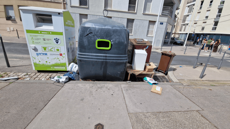Signalement à Lyon