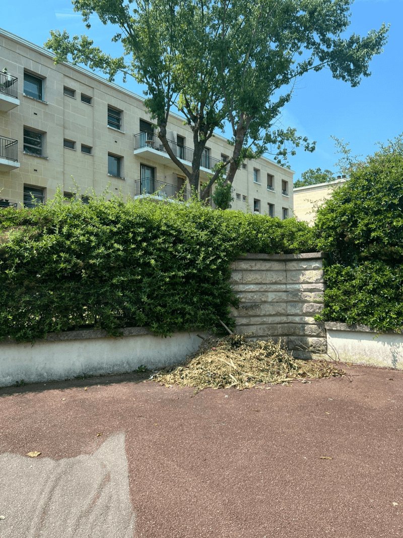Dépôt sauvage, 5 Rue du Haut des Petits Bois, Maisons-Laffitte