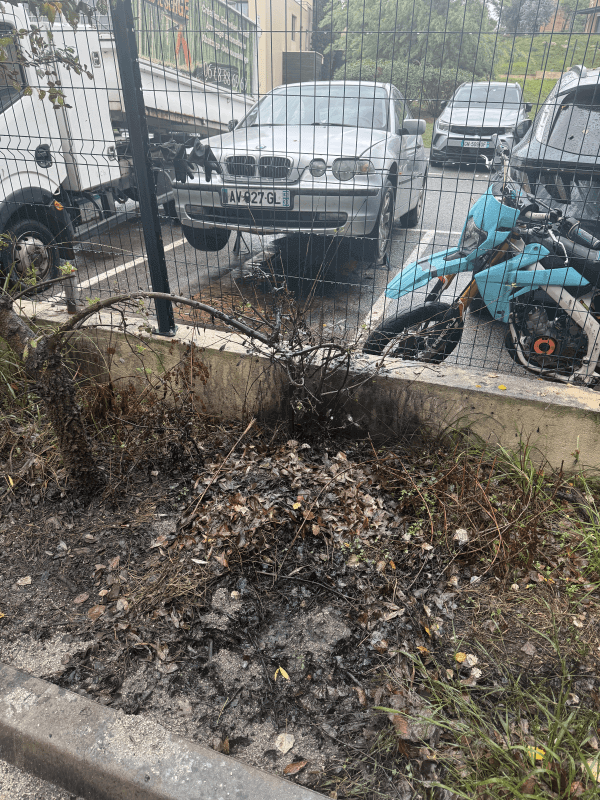 Signalement à Mandelieu-la-Napoule
