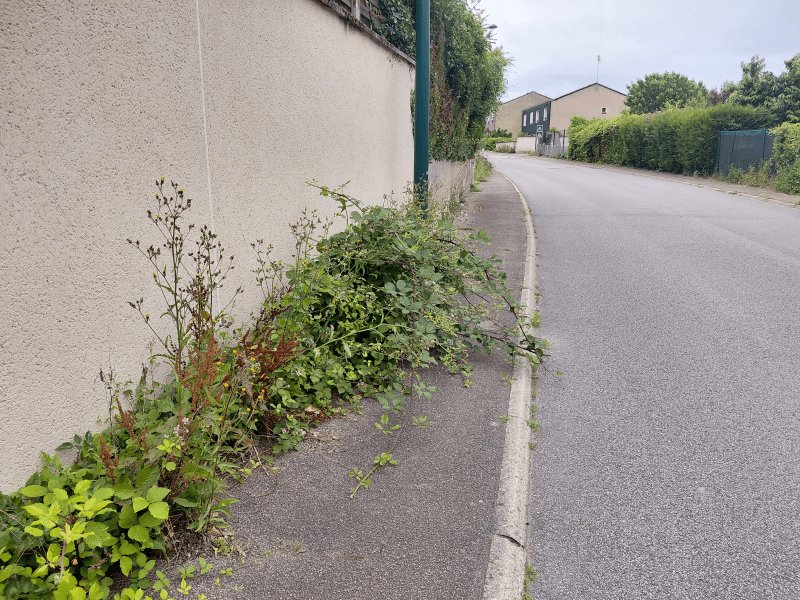 Propreté, 7 Avenue du Vexin, Mantes-la-Ville
