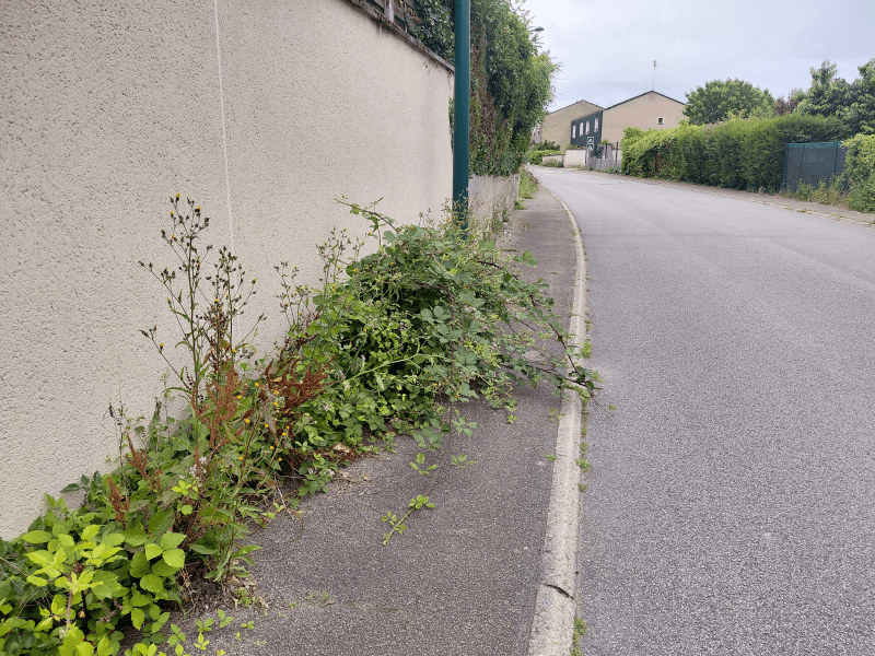 Signalement à Mantes-la-Ville