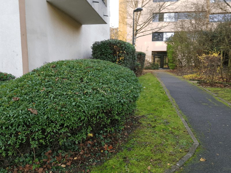 Dépôt sauvage, 8 Allée Elsa Triolet, Massy : après