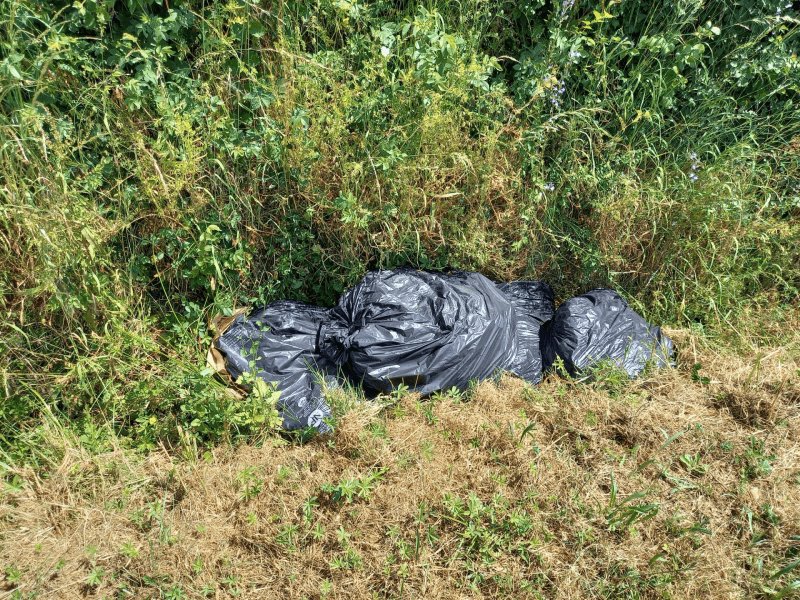 Dépôt sauvage, 7 La Sourdrie (St Florent-Le-Vieil), Mauges-sur-Loire