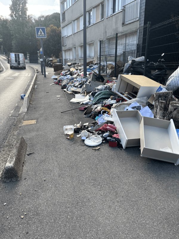 Dépôt sauvage, 80 Route des Gardes, Meudon
