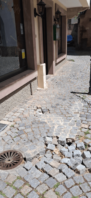 signalement à Molsheim