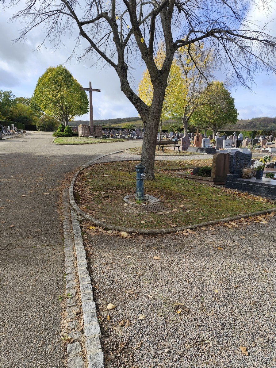 Autre, Molsheim