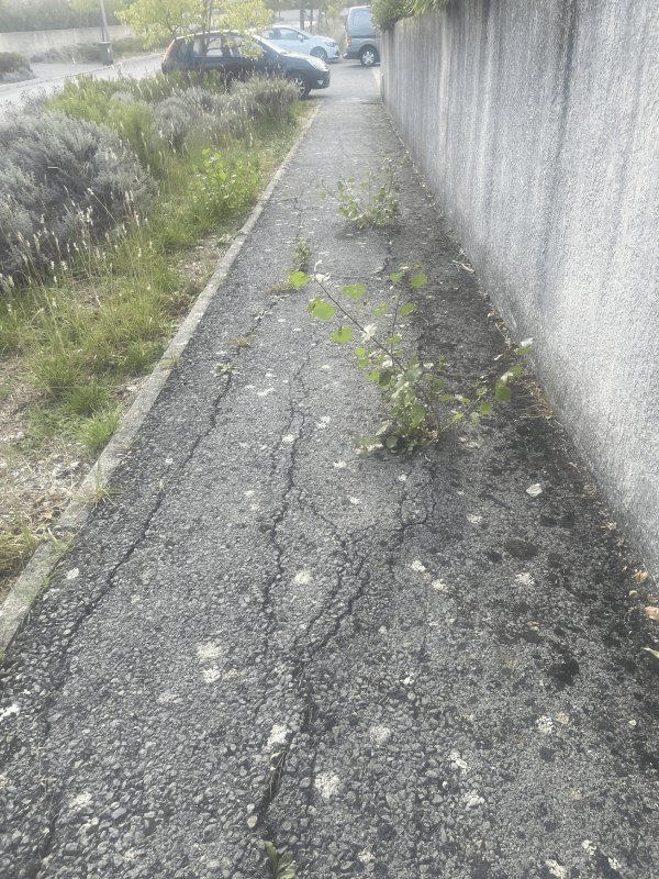 Voirie, éclairage, Rue des Romarins, Montarnaud