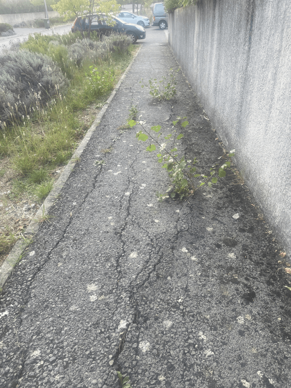 Signalement à Montarnaud