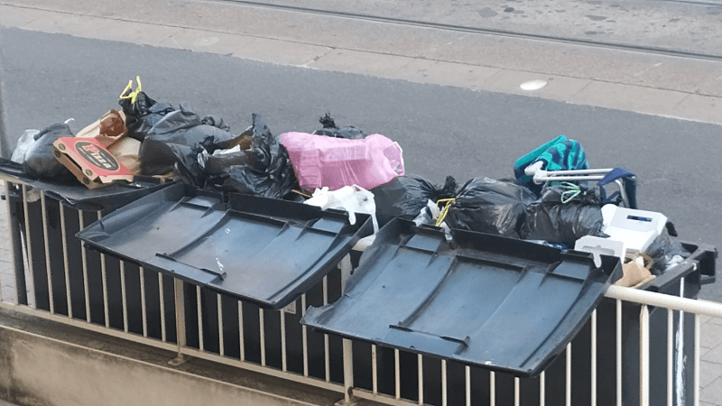 Signalement à Montpellier
