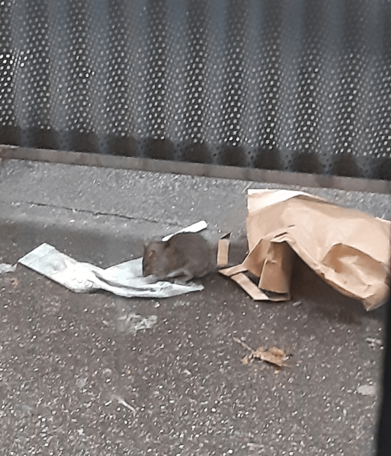 Signalement à Montreuil