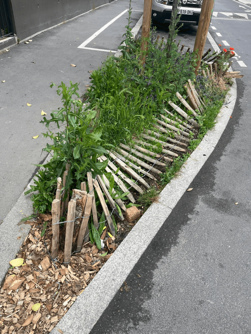 Signalement à Montreuil