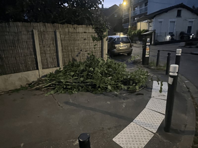 Dépôt sauvage, 16 Rue de la Demi-Lune, Montreuil