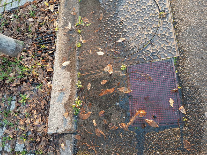 Signalement à Nanterre