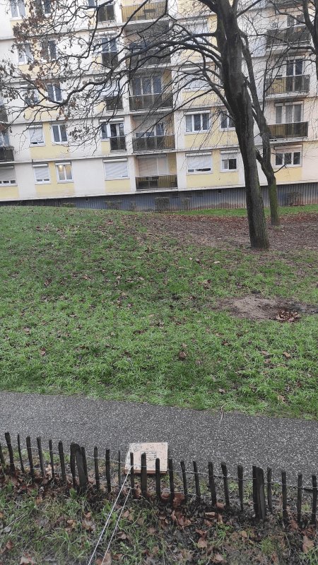 Dépôt sauvage, Allée Edward Jenner, Nanterre