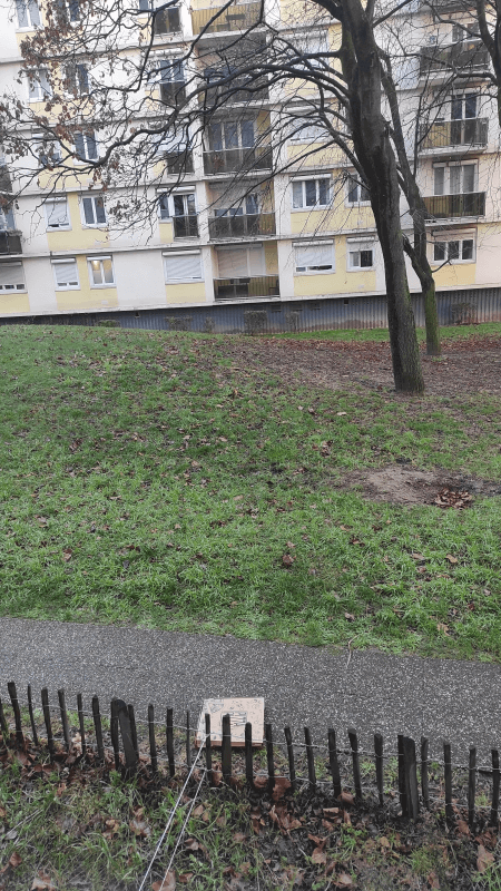 Signalement à Nanterre