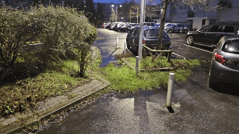 Autre, 6 Allée Sir Alexander Fleming, Nanterre