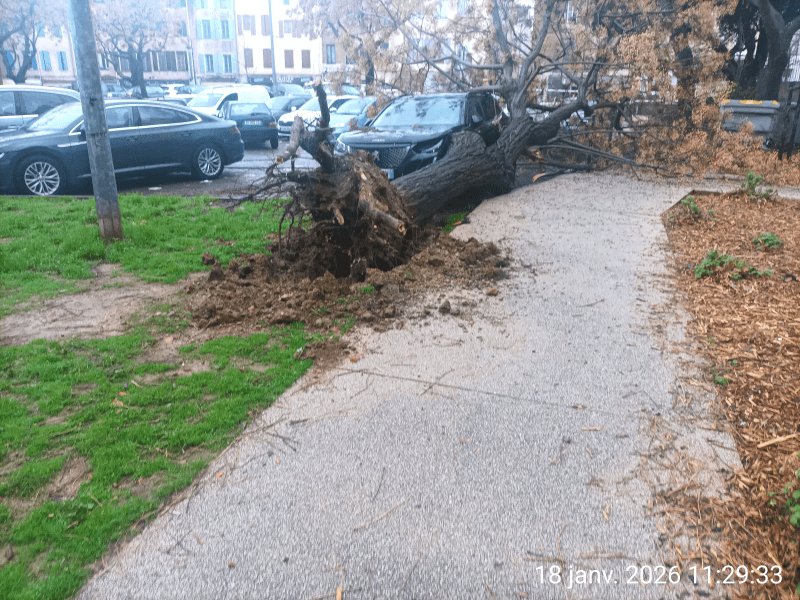 Autre, 3 Cours Mirabeau, Narbonne
