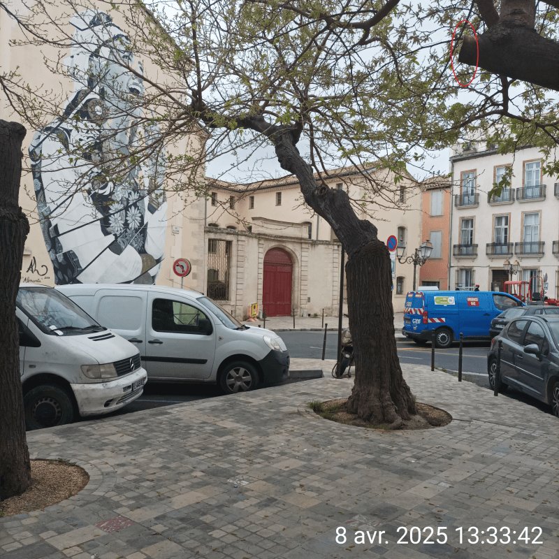 Autre, Place de Verdun, Narbonne : après