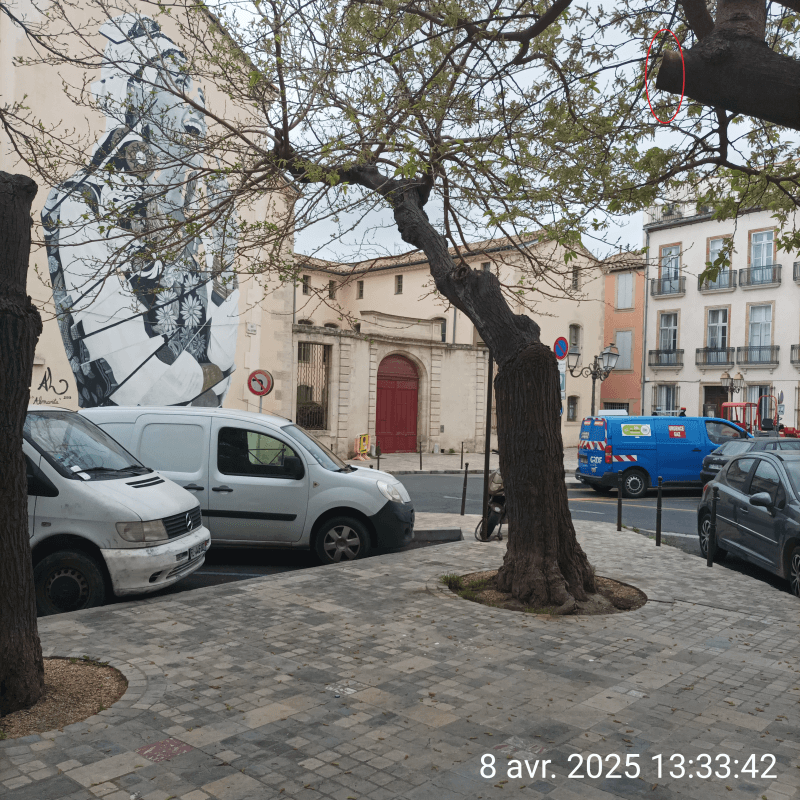 Résolution signalement à Narbonne