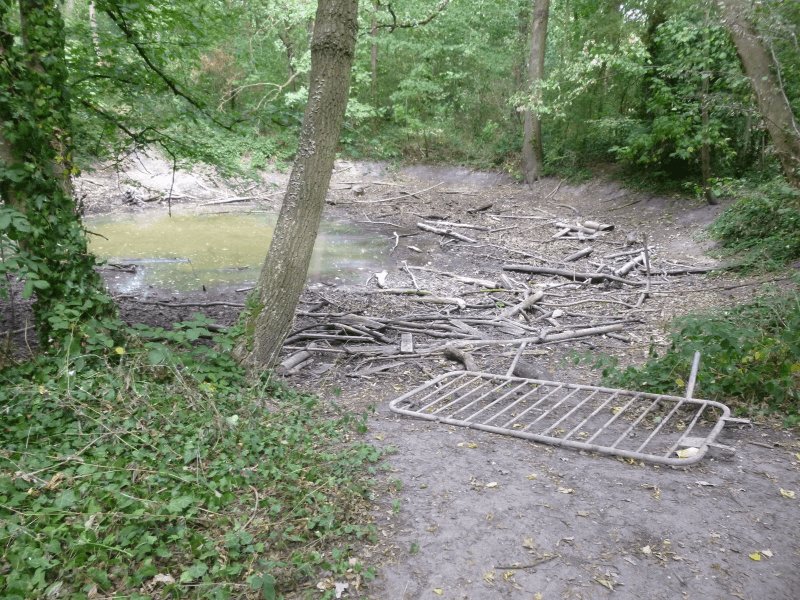 Dépôt sauvage, 25 Avenue des Pêcheurs, Neuilly-sur-Marne