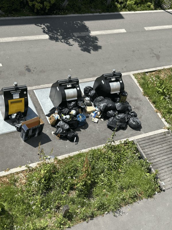 Propreté, 3 Rue Louise de Vilmorin, Neuilly-sur-Marne
