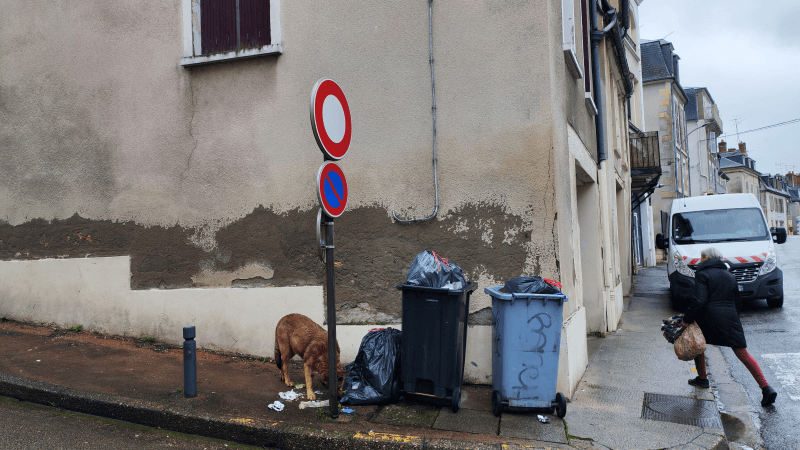 Signalement à Nevers