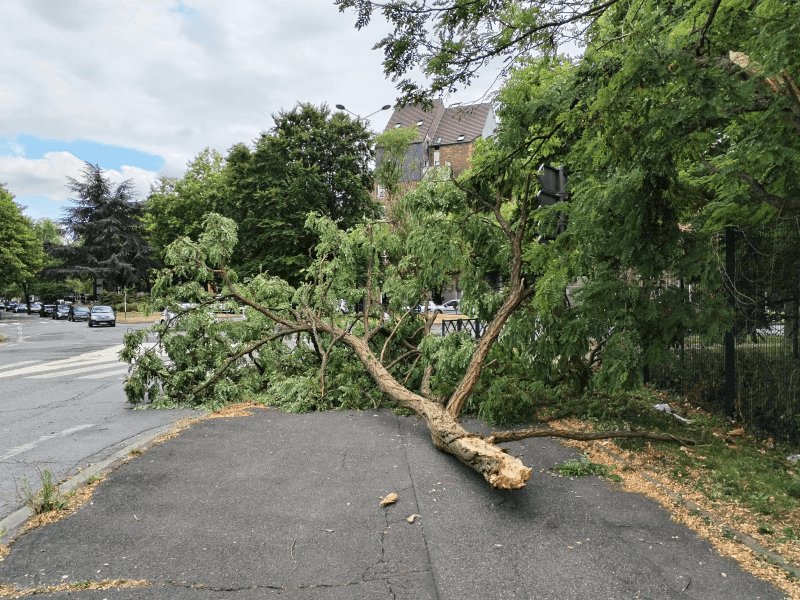 Autre, 1 Rue du Marnois, Noisy-le-Grand