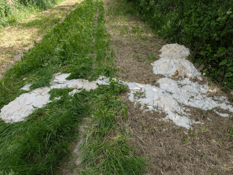 signalement à Noizay