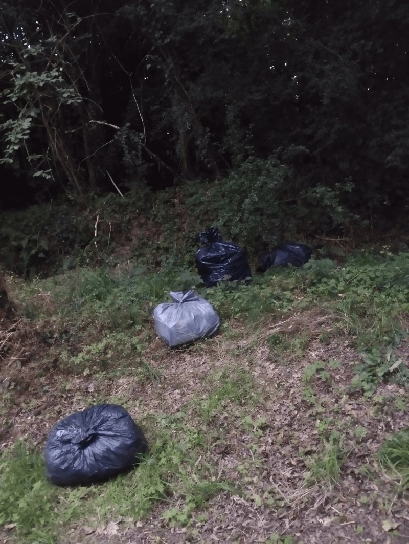 Dépôt sauvage, 46 Allée du Bois Orcan, Noyal-sur-Vilaine