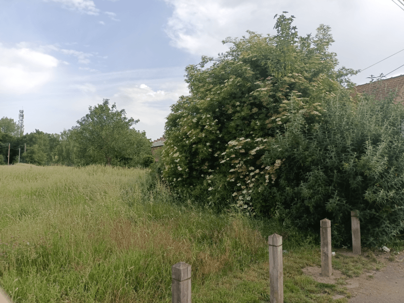 signalement à Oignies