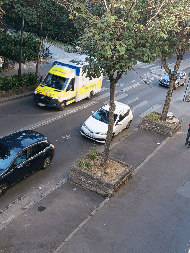 signalement à Paris