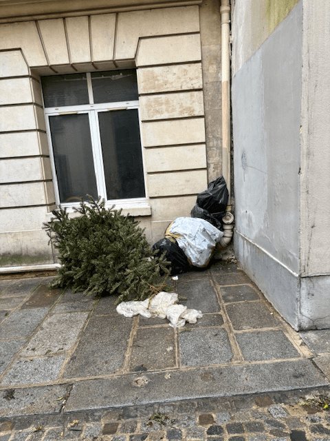 Dépôt sauvage, 11 Rue Servandoni, Paris