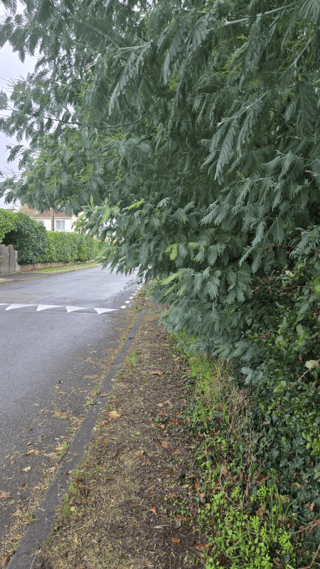 Signalement à Pessac