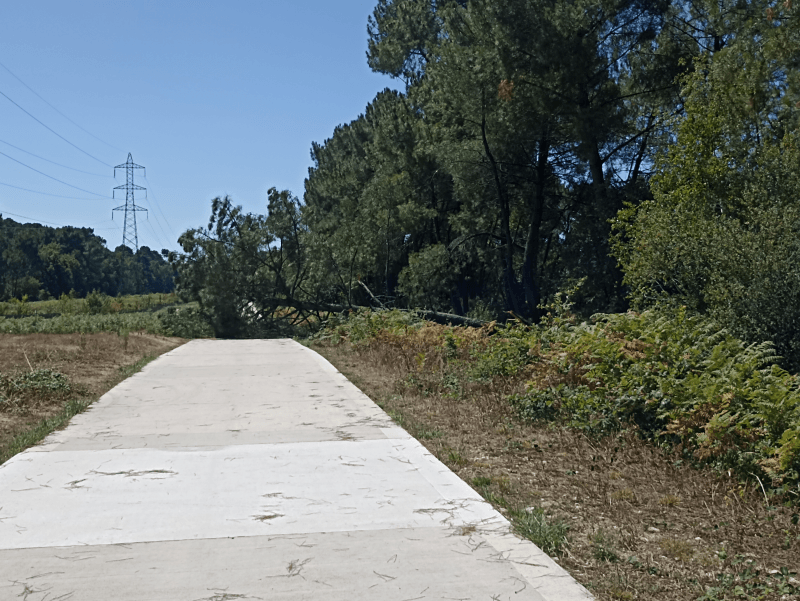 signalement à Pessac