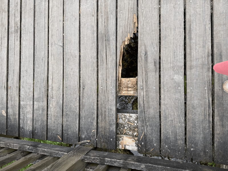 signalement à Pessac