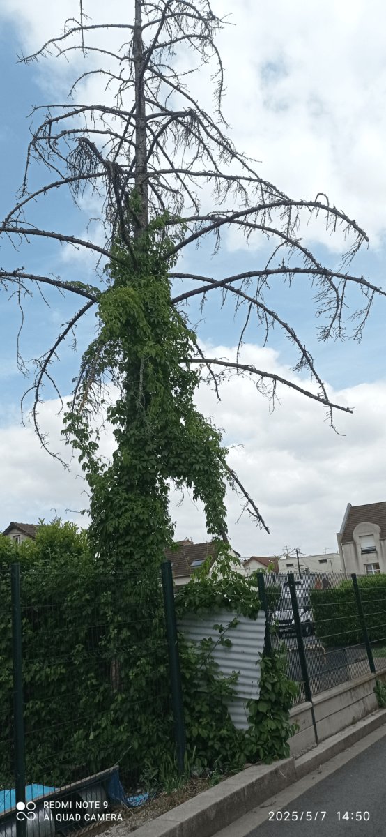 Autre, 17 Allée de la Paix, Pierrefitte-sur-Seine : avant