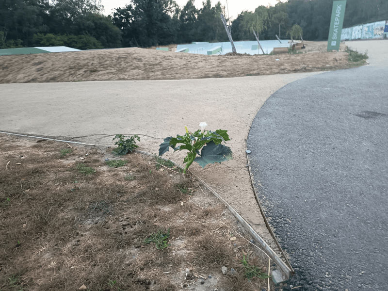 signalement à Pontchâteau