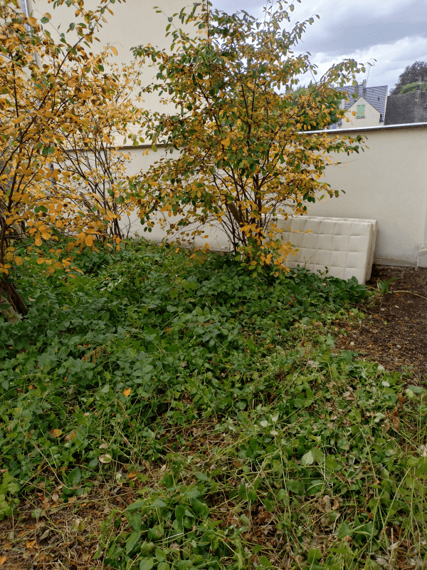 Signalement à Pontoise