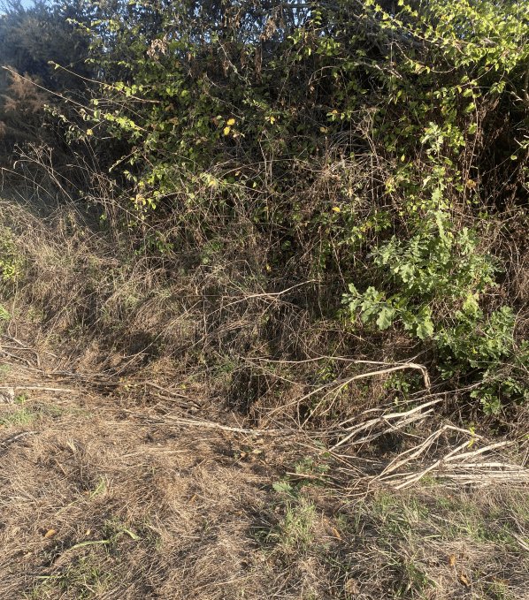 Dépôt sauvage, D 751, Pornic : après
