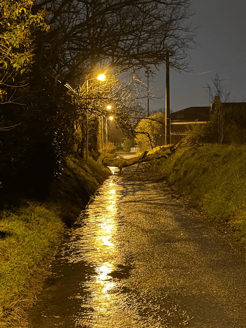 Signalement à Ramonville-Saint-Agne