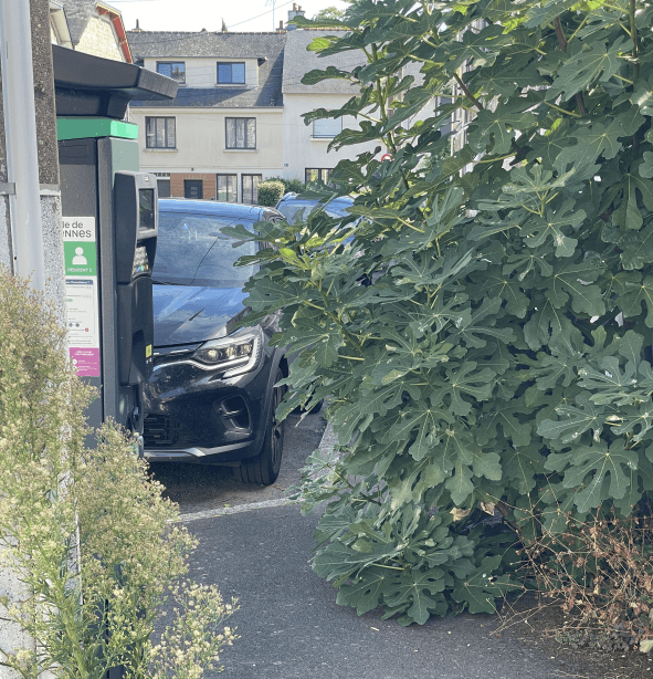 signalement à Rennes