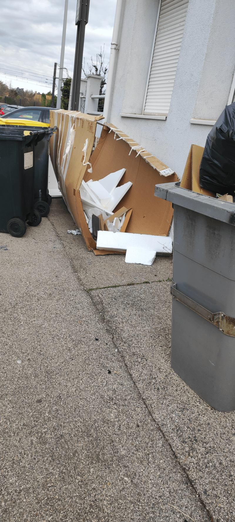 Signalement à Rillieux-la-Pape