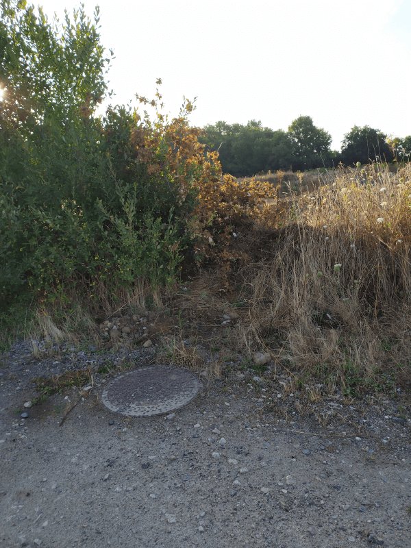 Dépôt sauvage, 51 Route de la Limouzinière, La Roche-sur-Yon : après