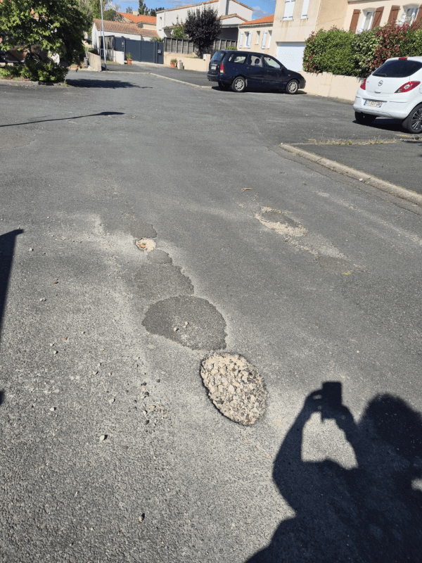 Signalement à La Roche-sur-Yon